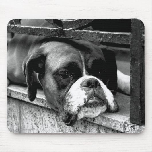 Tapis De Souris Chien de boxe sur Windowsill mpcna (Devant)