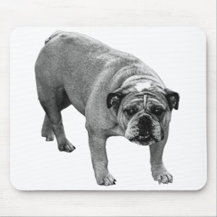 Tapis De Souris Chien de bureau calme