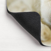 Tapis De Souris Chien de caniche couché 2 (Coin)