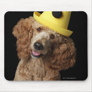 Tapis De Souris Chien de caniche d'or utilisant un casquette jaune