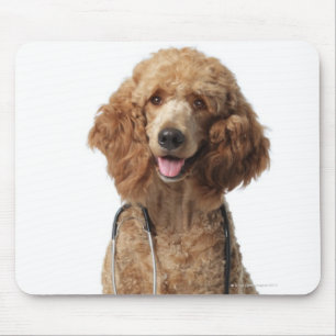 Tapis De Souris Chien de caniche d'or utilisant un stéthoscope