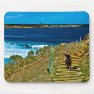 Tapis De Souris Chien de Chien Chien De Chien De Chien De Chien De