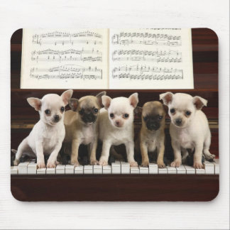 Tapis De Souris Chien de chiwawa