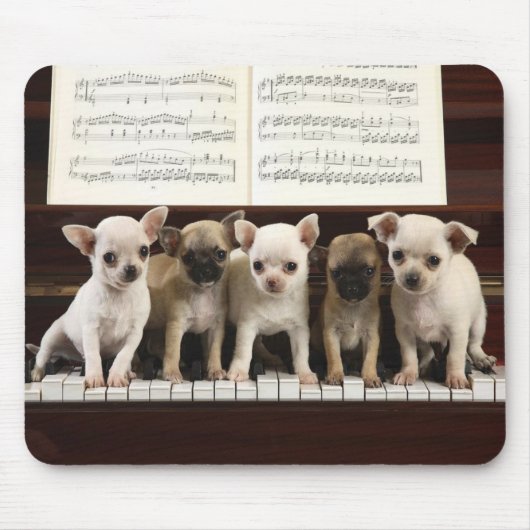 Tapis De Souris Chien de chiwawa (Devant)