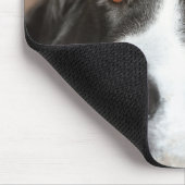 Tapis De Souris Chien de montagne suisse (Coin)