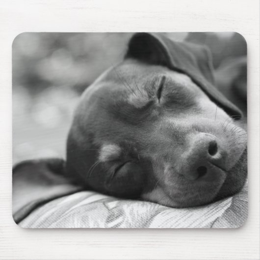 Tapis De Souris Chien de Pinscher miniature de sommeil (Devant)