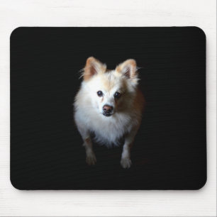 Tapis De Souris Chien de Poméranie dans la Mousepad foncé