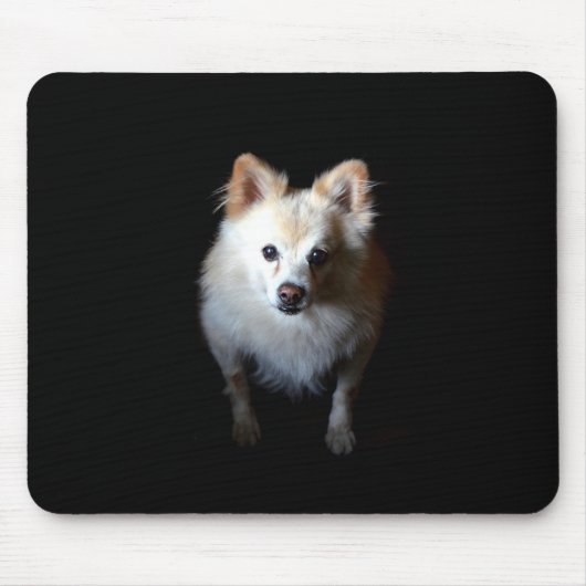 Tapis De Souris Chien de Poméranie dans la Mousepad foncé (Devant)