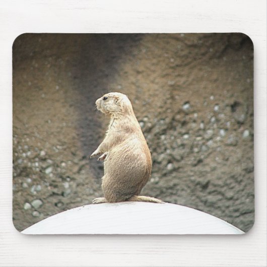 Tapis De Souris Chien de prairie (Devant)