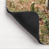 Tapis De Souris Chien de Prairie Solo (Coin)