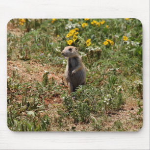 Tapis De Souris Chien de Prairie Solo