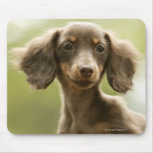 Tapis De Souris Chien de saucisse (brun)
