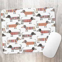 Chien de saucisse Dachshund