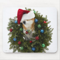 Chien de Shiba Inu portant le chapeau de Père Noël
