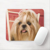 Tapis De Souris Chien de Shih-tzu (Avec souris)
