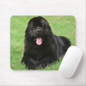 Tapis De Souris Chien de Terre (Avec souris)