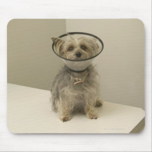 Tapis De Souris Chien de Terrier utilisant le collier protecteur