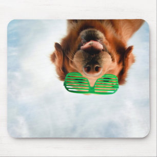 Tapis De Souris Chien des images de Getty avec des verres