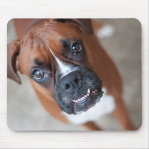 Tapis De Souris Chien drôle de boxeur