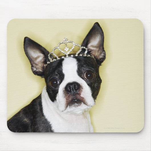 Tapis De Souris Chien en tiara (Devant)