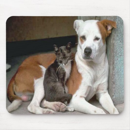 Tapis De Souris Chien et chat Mousepad (Devant)