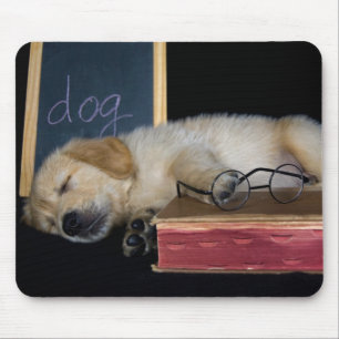 Tapis De Souris Chien fatigué