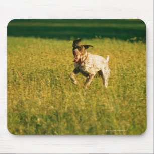 Tapis De Souris Chien fonctionnant par l'herbe