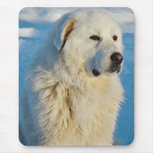 Tapis De Souris Chien Gardien des Pyrénées Blanches (Devant)