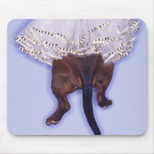 Tapis De Souris Chien habillé