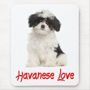Tapis de souris Chien Havanais Mignon