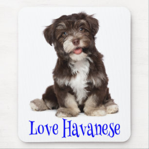 Tapis de souris Chien Havanais Mignon