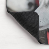 Tapis De Souris Chien husky avant une course, Canada (Coin)