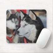 Tapis De Souris Chien husky avant une course, Canada (Avec souris)