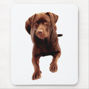 Tapis de souris Chien Labrador Retriever au Chocol