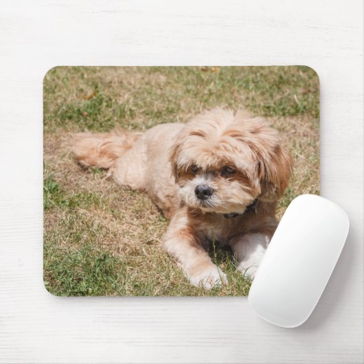 Tapis De Souris Chien Lhasa Apso (Avec souris)