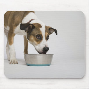 Tapis De Souris Chien mangeant de la cuvette