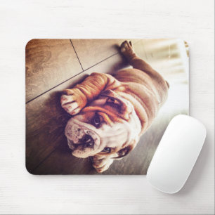 Tapis De Souris Chien menteur de Bulldog anglais Photo de chien