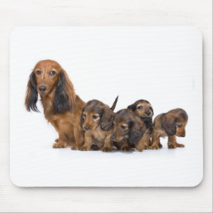Tapis De Souris Chien mignon avec des chiots