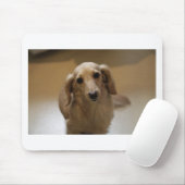 Tapis De Souris Chien mignon dachschund (Avec souris)