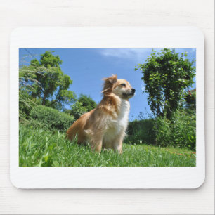 Tapis De Souris Chien mignon dans l'herbe