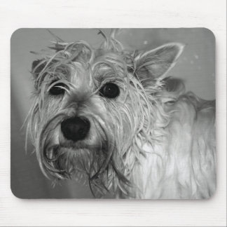 Tapis De Souris Chien mignon - Westie (Terrier des montagnes