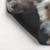 Tapis De Souris Chien Mousepad (Coin)