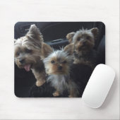 Tapis De Souris Chien Mousepad (Avec souris)