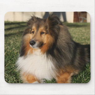 Tapis De Souris Chien Mousepad de Sheltie