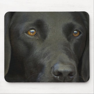 Tapis De Souris Chien noir de Labrador