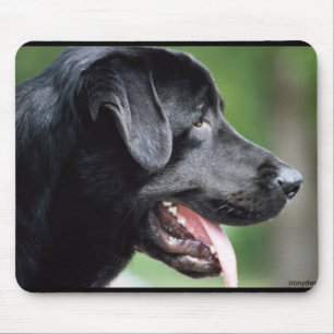 Tapis De Souris Chien noir de labrador retriever