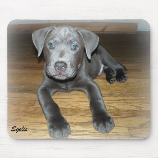 Tapis De Souris Chien Pitbull / Chien mignon (Devant)