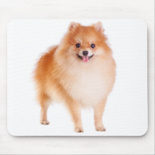 Tapis de souris Chien Poméranien Pom Pom Puppy d'a