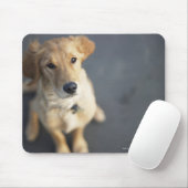 Tapis De Souris Chien qui regarde, gros plan (Avec souris)