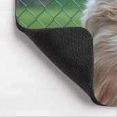 Tapis De Souris Chien regardant à travers une clôture en chaîne (Coin)